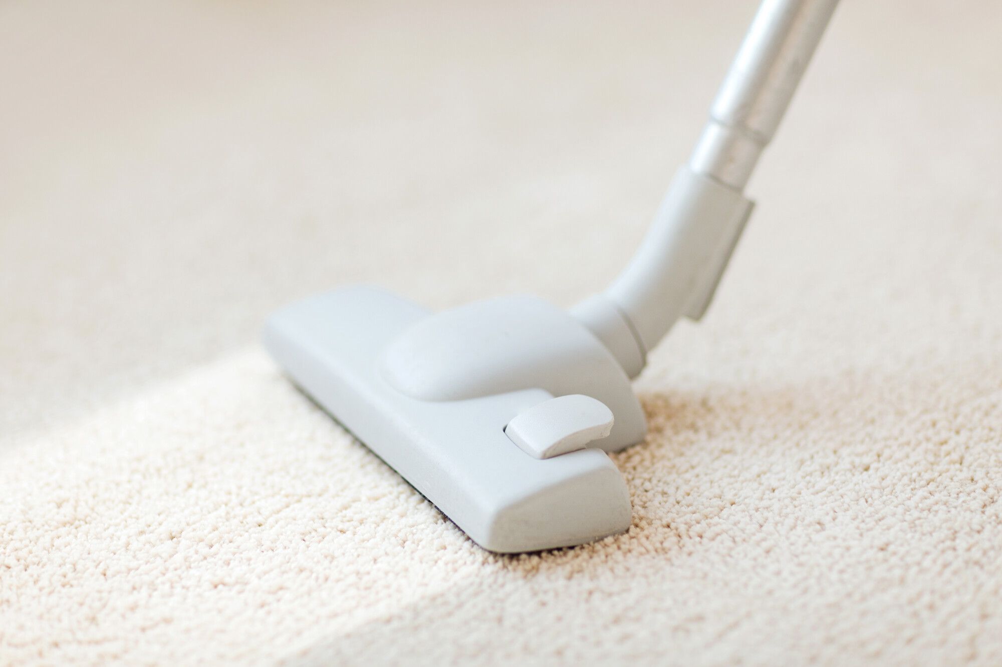 Swansea carpet cleaning