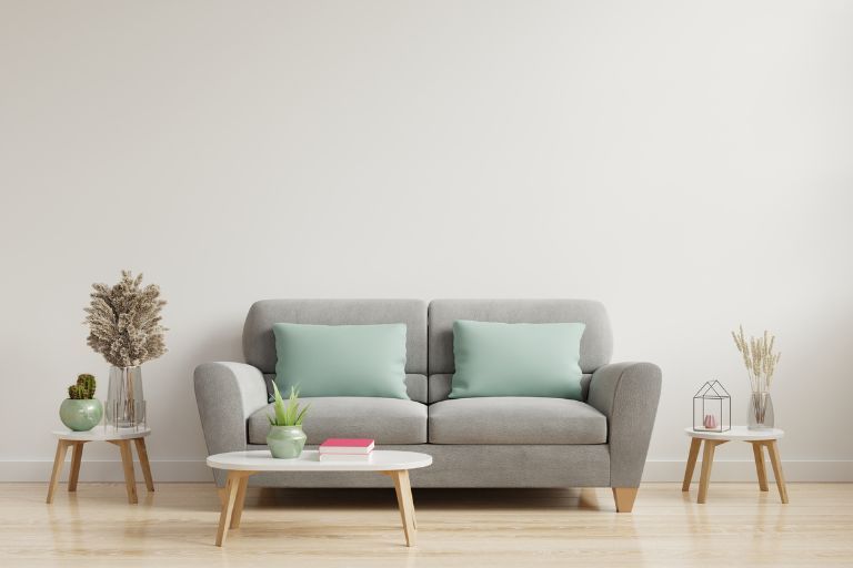 Upholstery Cleaning experts