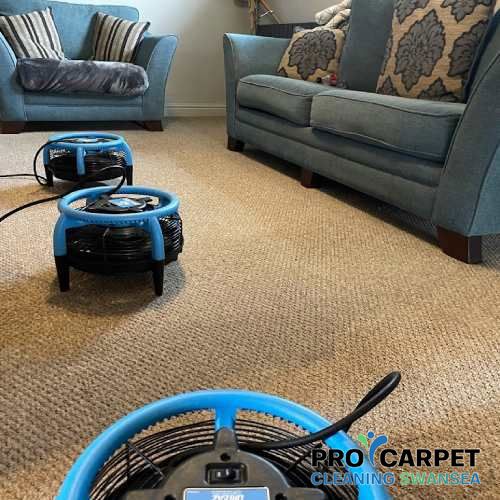 best carpet cleaning porthcawl