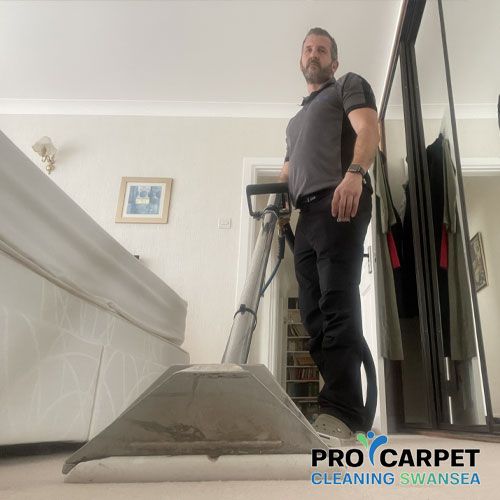 best pet odour removal llansamlet