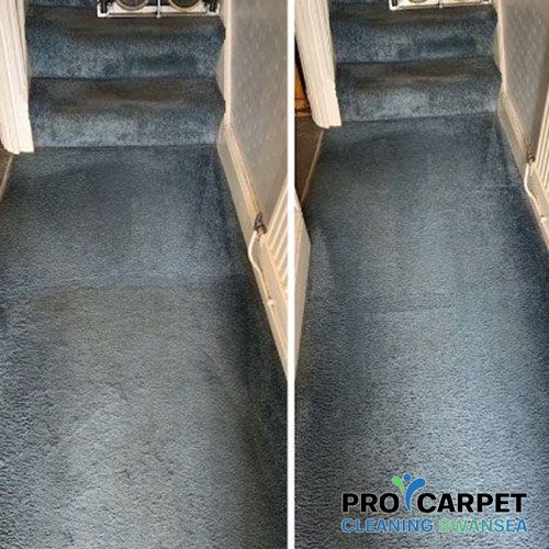carpet cleaning burry-port results 2