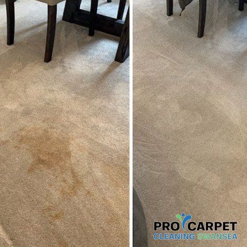 carpet cleaning in swansea results 1