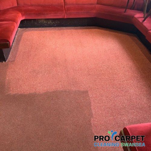 carpet cleaning killay results 4