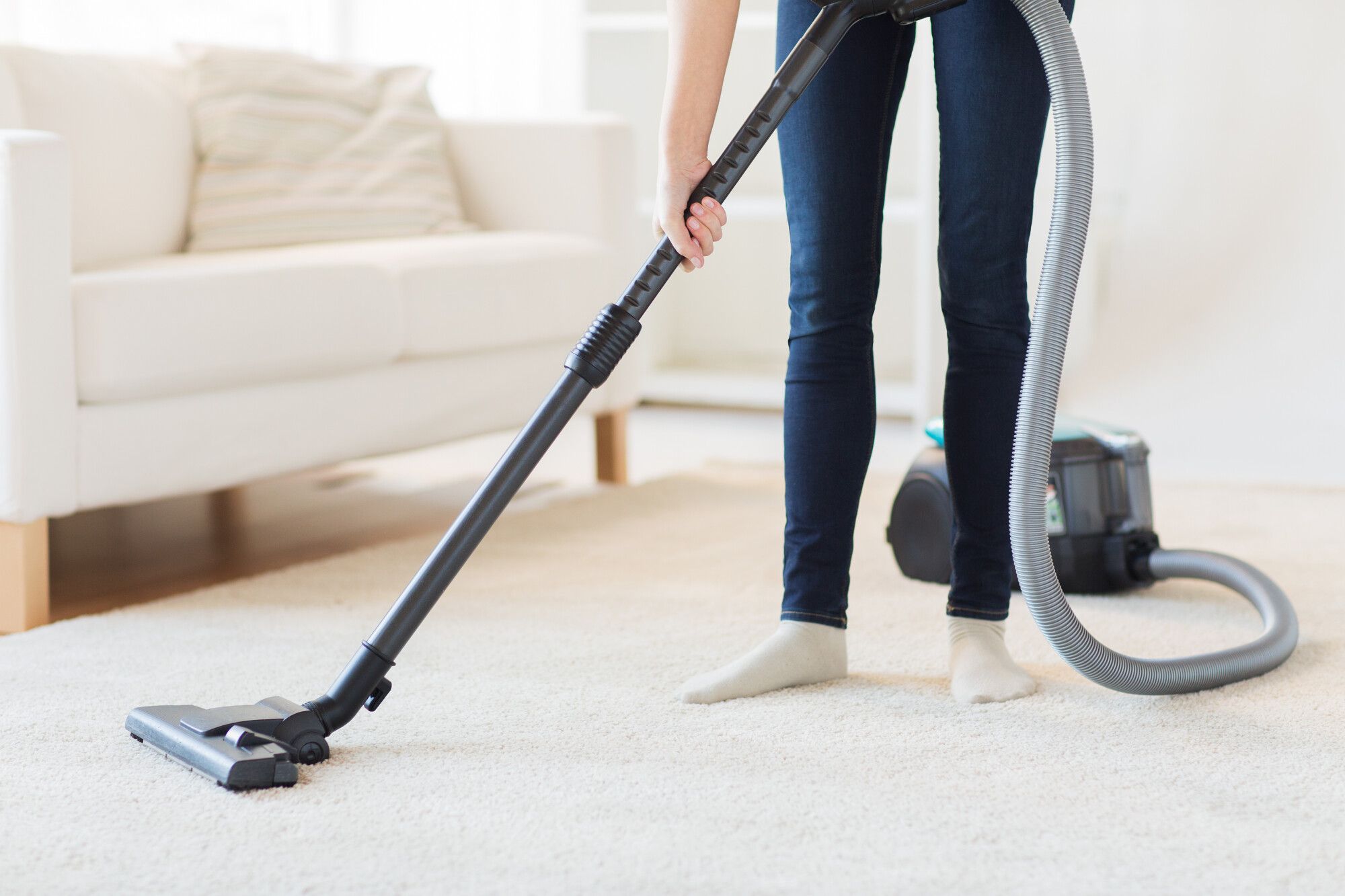 carpet cleaning services