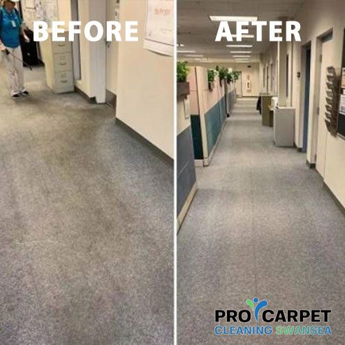 commercial carpet cleaning results 6