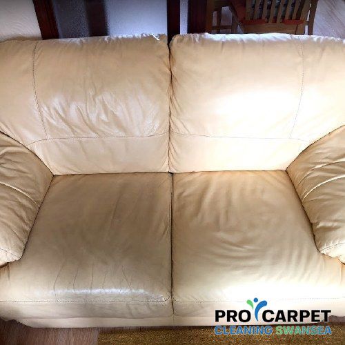 leather cleaning burry-port results 3