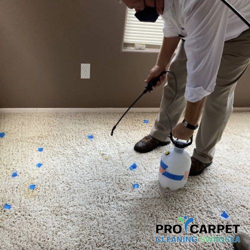 Pet Odour Removal Glais Results 3