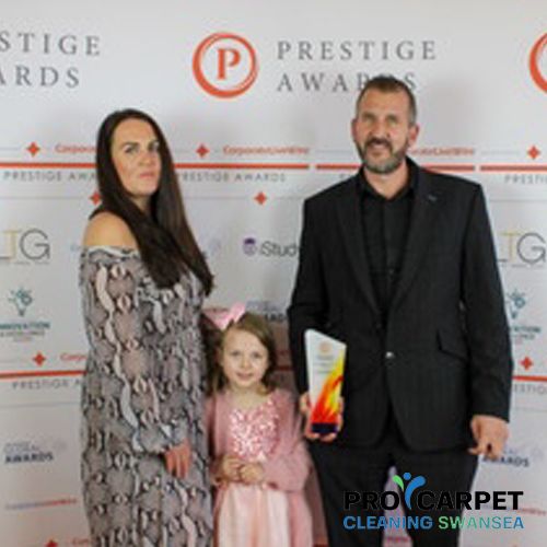Pro Carpet Cleaning Swansea Family