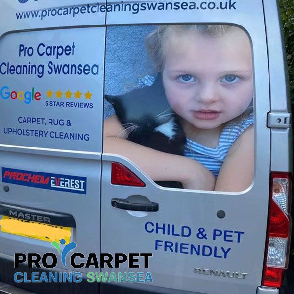 pro carpet cleaning swansea truck