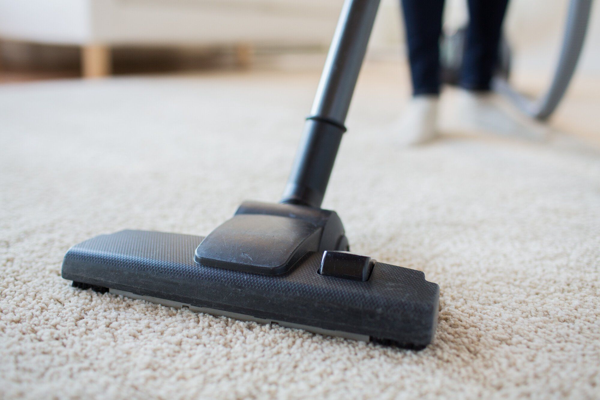 professional carpet cleaning in Swansea