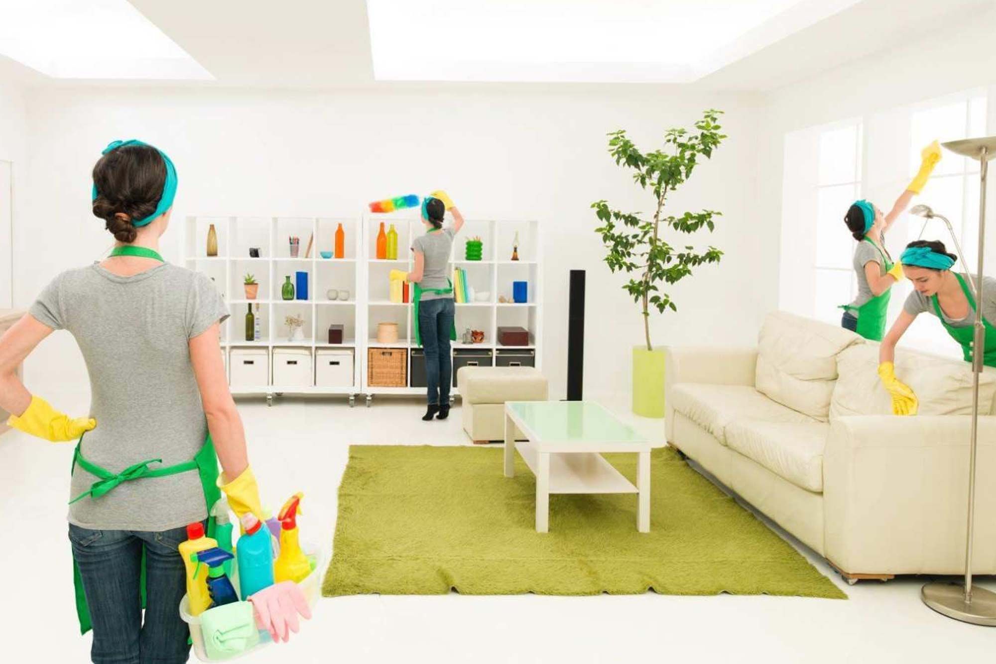 ways to keep your carpet fresh with dogs