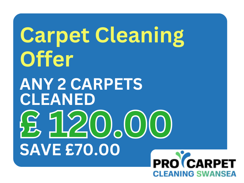 Carpet Offer 2 