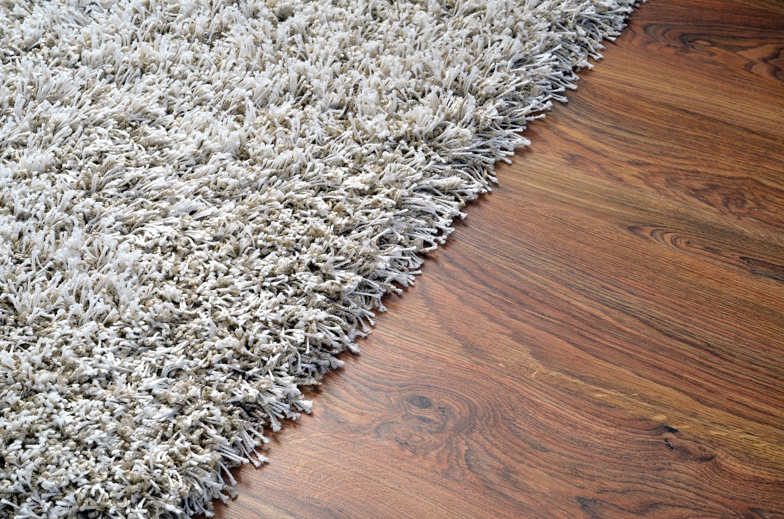 Carpet Cleaners
