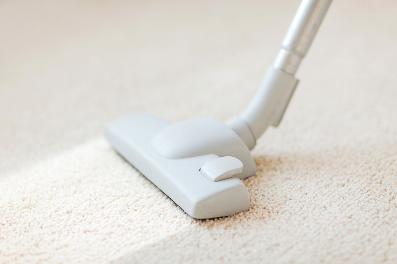 Swansea carpet cleaning