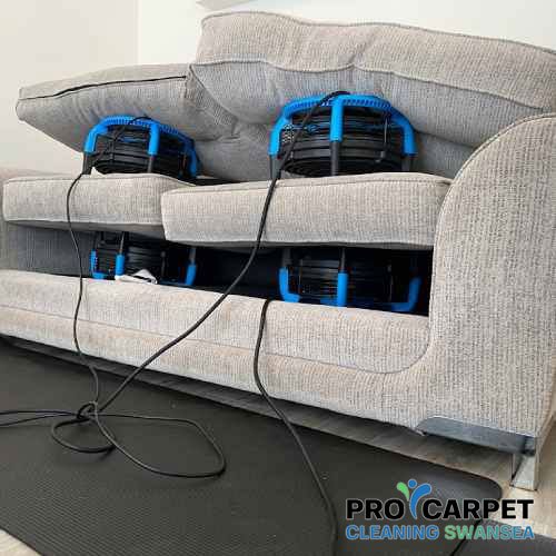 best upholstery cleaning fforest-fach