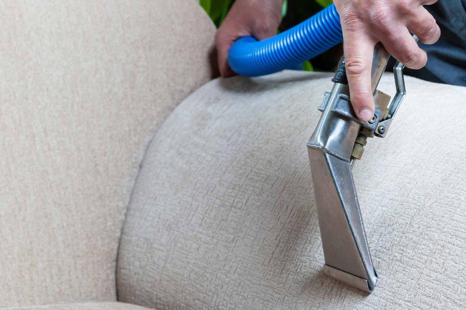can a sofa be cleaned professionally