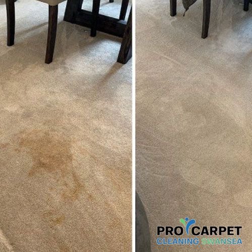 carpet cleaning in swansea results 1