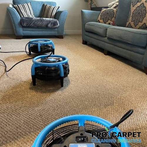 carpet cleaning in swansea results 2