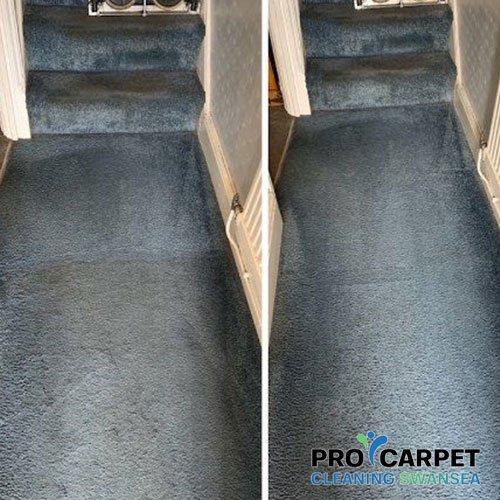 carpet cleaning three-crosses results 2