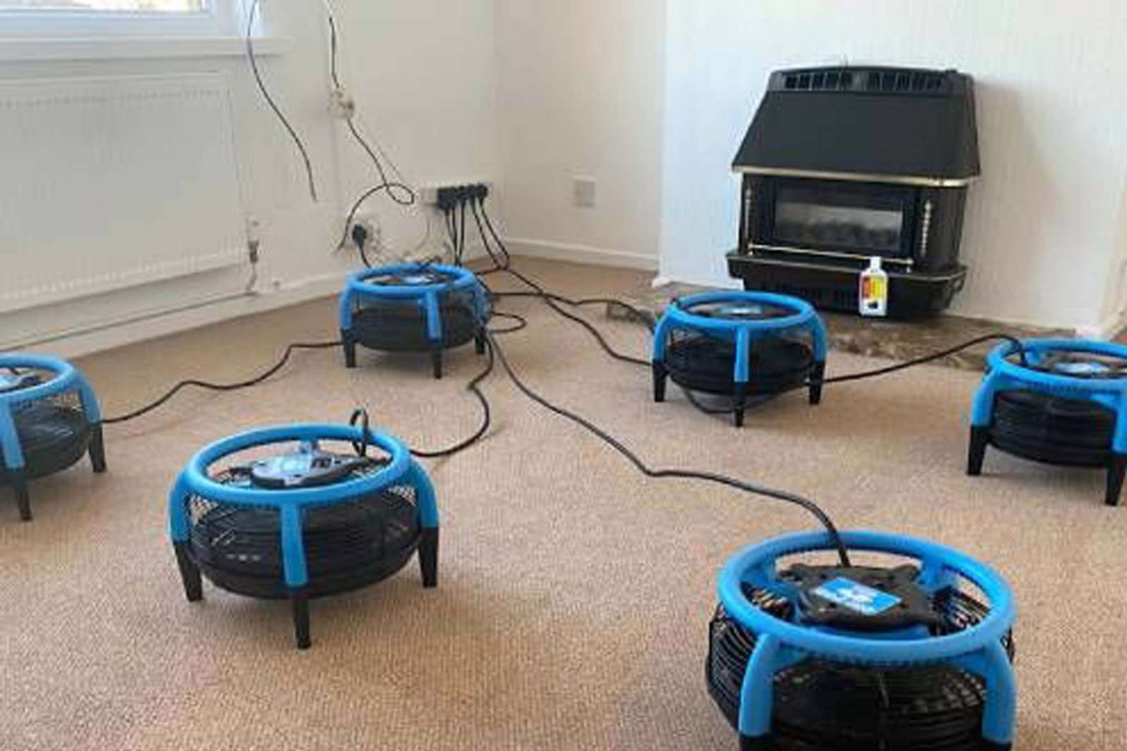 kick start your new year with fresh clean carpets
