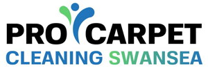 Pro Carpet Cleaning Swansea Logo 1