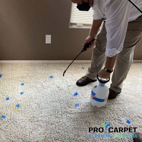 Stain Removal Services