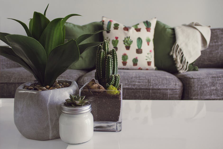 upholstery cleaning service